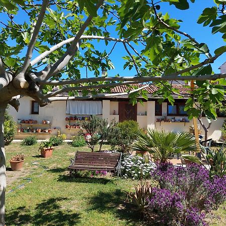 Garden Rooms オルビア エクステリア 写真